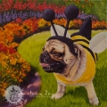 Bumble Pug