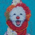 Clown Dog